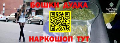 стафф Славгород