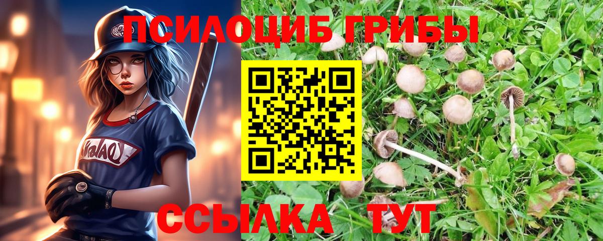 продажа наркотиков  Галлюциногенные грибы прущие грибы  Вход с VPN  Галлюциногенные грибы мицелий  Обнинск 